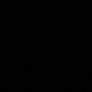 Meet your Posher, Anya